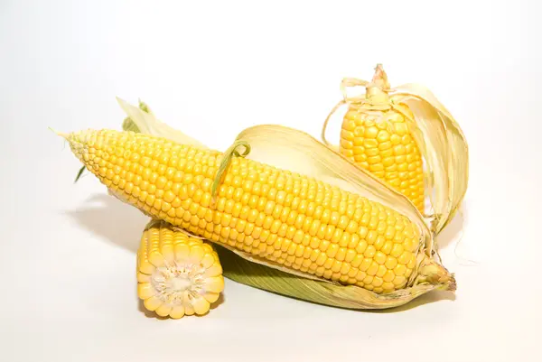 Több fül kukorica felett fehér — Stock Fotó