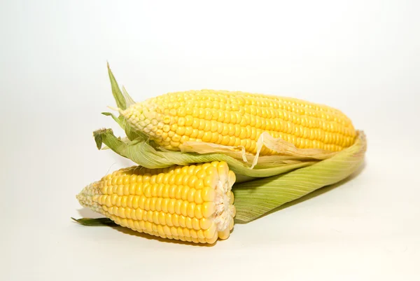 Flera öronen av majs på över vita — Stockfoto
