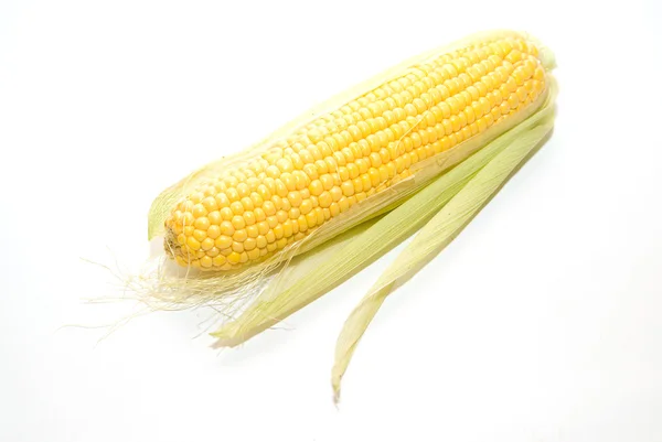 Rijp fruit maïs op over Wit — Stockfoto