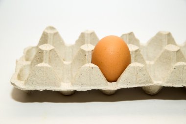 Tavuk yumurta satış paketindeki