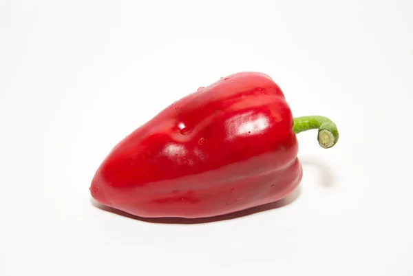 One ripe red peppers on over white — Stock Photo, Image