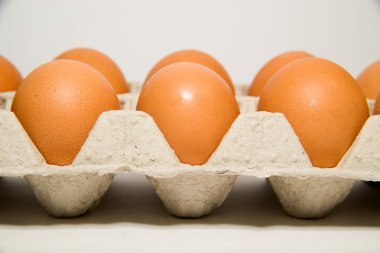 Tavuk yumurtası beyaz üzerinden satışa paketindeki