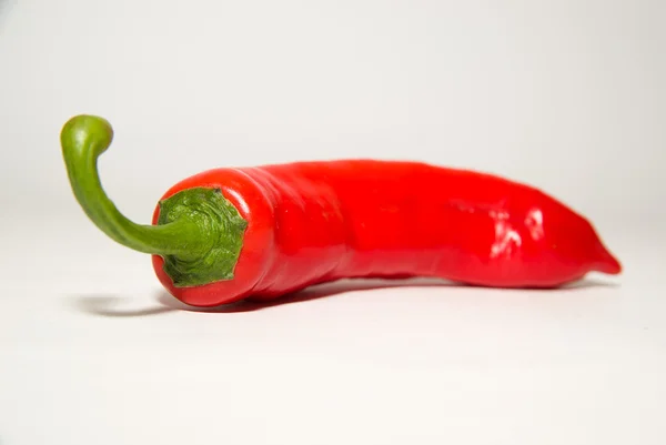 One ripe red peppers on over white — Stock Photo, Image