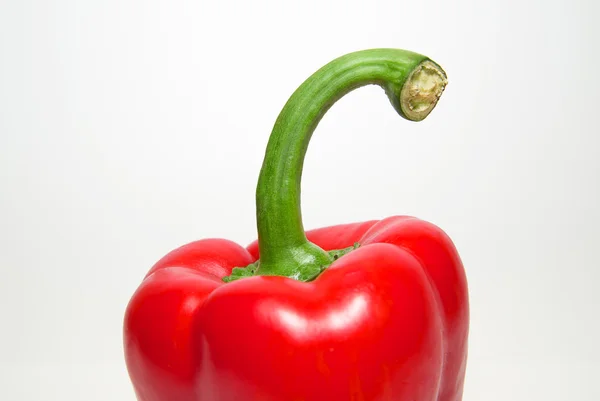 Uma pimenta vermelha madura sobre branco — Fotografia de Stock