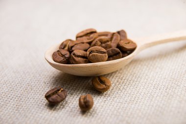 Birçok kahve çekirdekleri kaşığı kavrulmuş