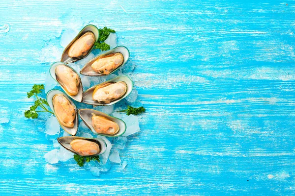 Mejillones Crudos Con Especias Hielo Sobre Fondo Azul Espacio Libre — Foto de Stock