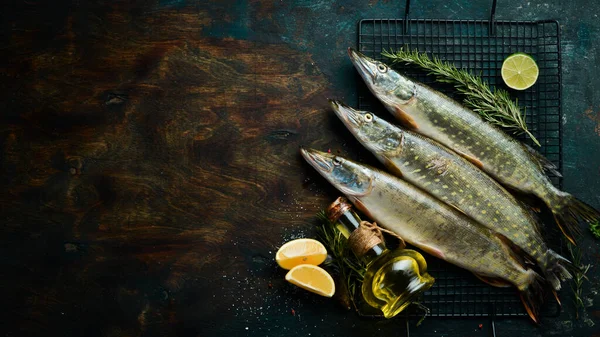 Pescado Lucio Con Especias Hierbas Preparación Sobre Fondo Oscuro Cocina — Foto de Stock