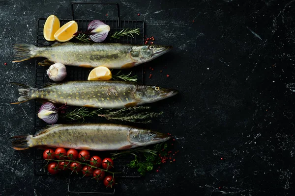 Hechtfisch Mit Gewürzen Und Kräutern Vorbereitung Vor Dunklem Küchenhintergrund Ansicht — Stockfoto