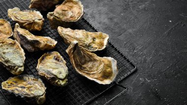 Taş zeminde kapalı istiridye. Metnin için boş yer. Deniz ürünleri. Düz yatıyordu.