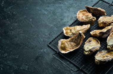 Taş zeminde kapalı istiridye. Metnin için boş yer. Deniz ürünleri. Düz yatıyordu.