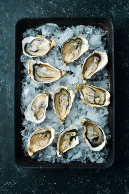 Açık istiridye Fines de Claire. Metnin için boş yer. Deniz ürünleri. Düz yatıyordu.