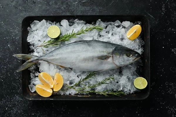 Dos Atunes Pescado Con Limón Romero Especias Sobre Hielo Vista — Foto de Stock