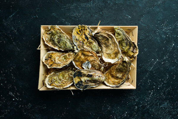 Closed oysters on a stone background. Free space for your text. Seafood. Flat lay.