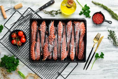 Plastik bir kutuda donmuş ahtapot dokunaçları. Üst Manzara. Düz yatıyordu.