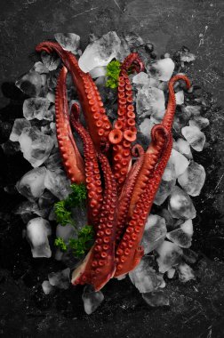 Ahtapot dokunaçları siyah bir taş zemin üzerinde buzun üzerinde yatar. Deniz ürünleri. Üst Manzara. Düz yatıyordu.