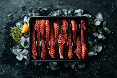 Ahtapot dokunaçları siyah bir taş zemin üzerinde buzun üzerinde yatar. Deniz ürünleri. Üst Manzara. Düz yatıyordu.