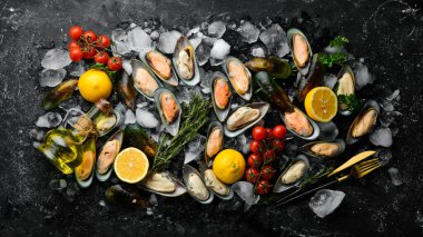 Buzlu kabuklu büyük yeşil midyeler. Deniz ürünleri. Siyah taştan bir arka planda. Üst Manzara. Metin için boş alan.