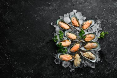 Buzlu kabuklu büyük yeşil midyeler. Deniz ürünleri. Siyah taştan bir arka planda. Üst Manzara. Metin için boş alan.