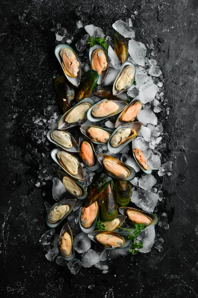 Buzlu kabuklu büyük yeşil midyeler. Deniz ürünleri. Siyah taştan bir arka planda. Üst Manzara. Metin için boş alan.