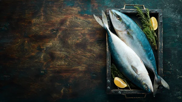 Pescado Fresco Atún Crudo Con Especias Sobre Fondo Oscuro Vista — Foto de Stock