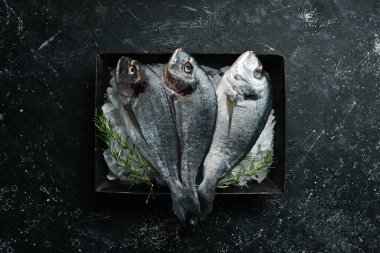 Buzda çiğ dorado balığı. Karanlık bir arka planda. Üst Manzara. Düz yatıyordu.