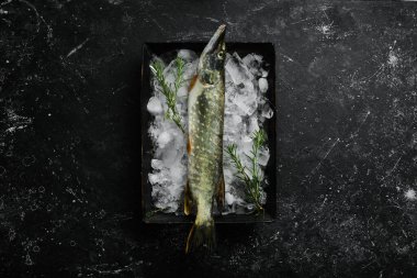 Buzda çiğ turna balığı. Karanlık bir arka planda. Üst Manzara. Düz yatıyordu.