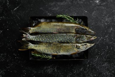 Buzda çiğ turna balığı. Karanlık bir arka planda. Üst Manzara. Düz yatıyordu.