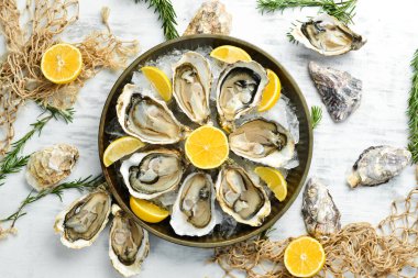 Buz ve limonlu bir tabakta taze açılmış istiridye. Metnin için boş yer. Deniz ürünleri. Düz yatıyordu.