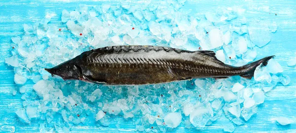 Störfisch Mit Zitrone Rosmarin Und Gewürzen Auf Eis Ansicht Von — Stockfoto