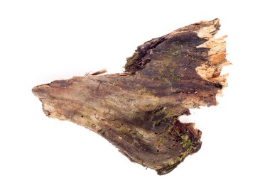 Beyaz bir arka plan üzerinde ahşap parça