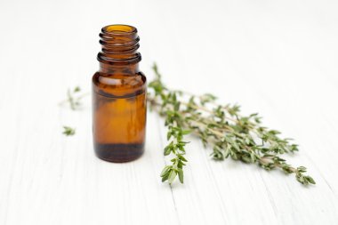 kekik taze dal kekik yağı