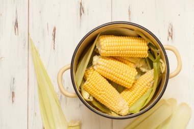 ham koçanı yaprakları üzerinde ahşap bir masa ile genç Mısır