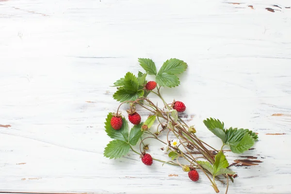 Wild strawberry with leaves on white wooden table — Stock Photo, Image