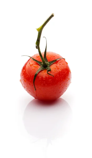 Beyaz zemin üzerinde bir delikanlı ile domates — Stok fotoğraf