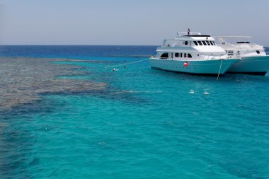 Güzel güneş ışığı seaview safari dalış tekne tropikal deniz
