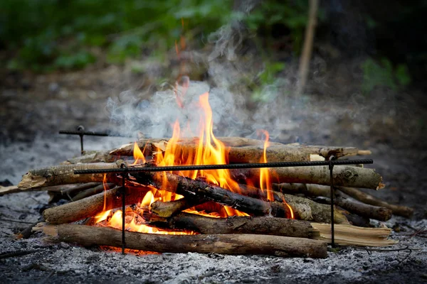 Bonfire in the forest — Stock Photo, Image