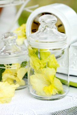 kavanozun içinde sarı Glayöl