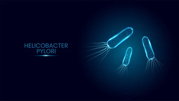 Helicobacter pylori. Wireframe estilo polivinílico bajo. Ilustración vectorial. — Vector de stock