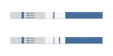 Bir ve iki şeritli farklı hamilelik testleri. Olumsuz. Beyaz arka planda izole edilmiş dişi üreme kavramı