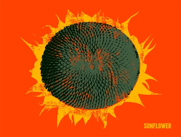 Соняшник вінтажний гранжевий фон. Векторні ілюстрації . — стоковий вектор