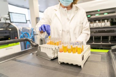 Laboratuvarda aşı için test yapan kadın. Kan çıkarma ve analitik.