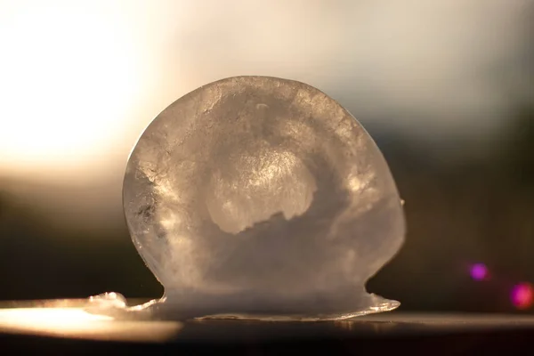 Ice 'ın güneşi sorarken fotoğrafı çekiliyor.