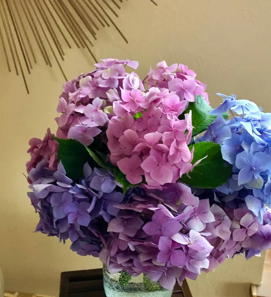 Çok renkli ortanca buketi..