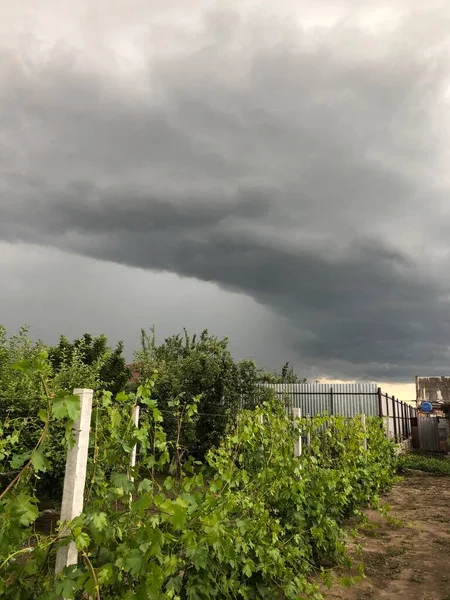        # Gök gürültülü fırtına bağın üzerinde #.