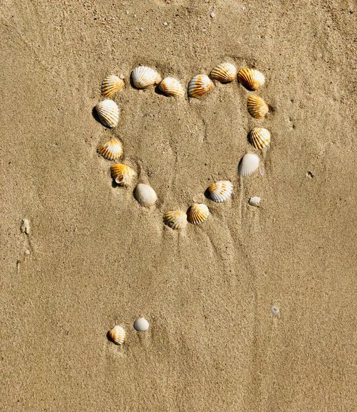 Bir makas onu kumdaki bir kalbe yerleştirir..