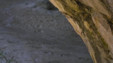 Genç erkek aslan Rock ve görünüyor arkasından çıkar, 4 k
