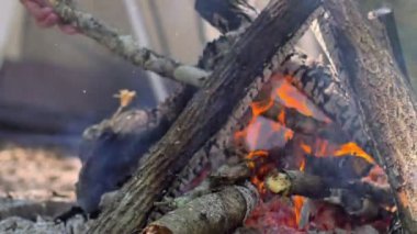 Adam ahşap kamp ateşi koyar.