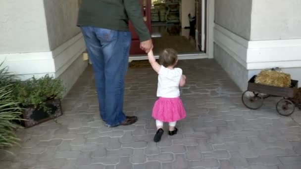 Bebé niña aprende a caminar — Vídeo de stock