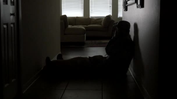 Собака солдата піднімається, щоб втішити його в коридорі, 4K — стокове відео
