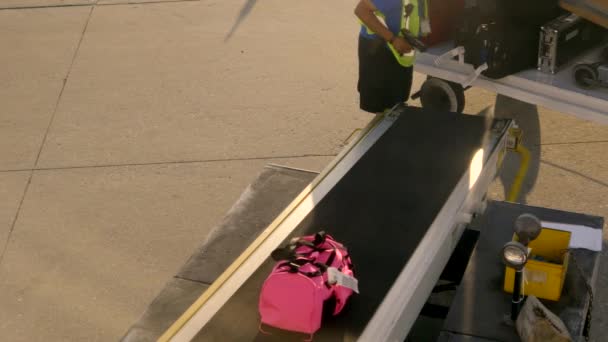 Person beim Beladen des Gepäcks im Flugzeug, 4k — Stockvideo